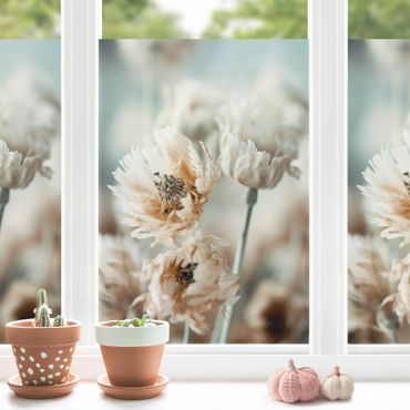 Fensterfolie - Sichtschutz - Blumen Nahaufnahme - Fensterbilder