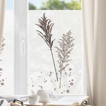 Fensterfolie - Sichtschutz - Botanisches Aquarell - Schwingelschilf - Fensterbilder