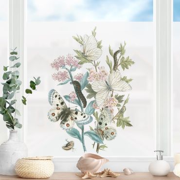 Fensterfolie - Sichtschutz - Britische Schmetterlinge I - Fensterbilder