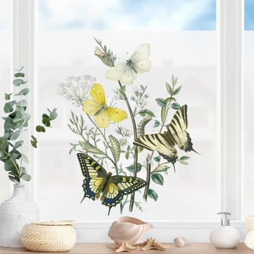 Fensterfolie - Sichtschutz - Britische Schmetterlinge III - Fensterbilder