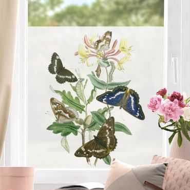 Fensterfolie - Sichtschutz - Britische Schmetterlinge IV - Fensterbilder