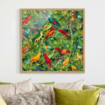Bild mit Rahmen - Bunte Collage - Papageien im Dschungel - Quadrat 1:1