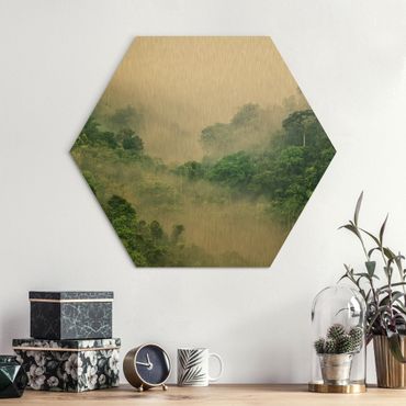 Hexagon Bild Alu-Dibond - Dschungel im Nebel