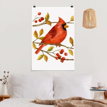 Poster - Vögel und Beeren - Rotkardinal - Hochformat 3:2