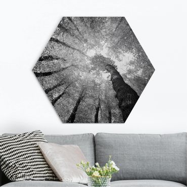 Hexagon Bild Alu-Dibond - Bäume des Lebens II