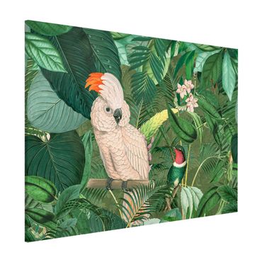 Magnettafel - Vintage Collage - Kakadu und Kolibri - Memoboard Querformat 3:4