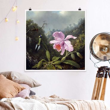 Poster - Martin Johnson Heade - Stillleben mit Orchidee und zwei Kolibris - Quadrat 1:1