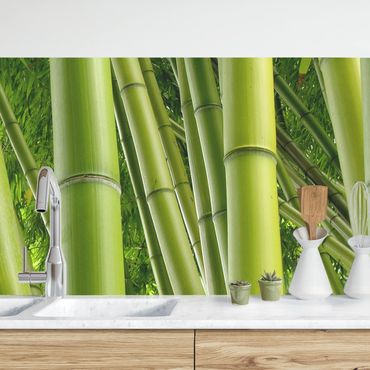Küchenrückwand - Bamboo Trees No.1