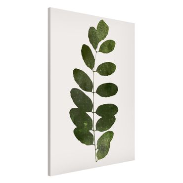 Magnettafel - Grafische Pflanzenwelt - Dunkelgrün - Hochformat 2:3