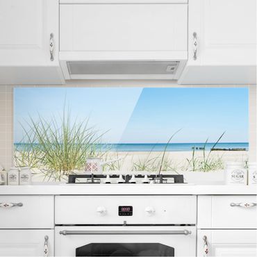 Küchenrückwand aus Glas 100x50cm ESG Spritzschutz Seestern Muscheln Natur 