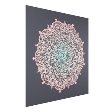 Forex Fine Art Print - Mandala Ornament in Rose und Blau - Quadrat 1:1
