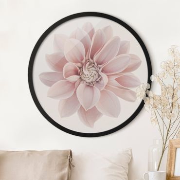 Rundes Gerahmtes Bild - Dahlie Blume Pastell Weiß Rosa