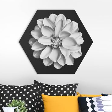Hexagon-Alu-Dibond Bild - Dahlie Schwarz Weiß