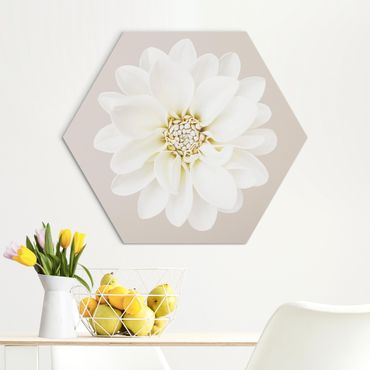 Hexagon-Alu-Dibond Bild - Dahlie Weiß Taupe Pastell Zentriert