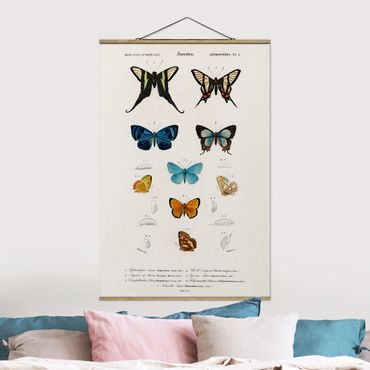 Stoffbild mit Posterleisten - Vintage Lehrtafel Schmetterlinge I - Hochformat 2:3