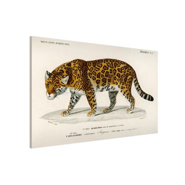 Magnettafel - Vintage Lehrtafel Jaguar - Memoboard Querformat 2:3