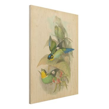 Holzbild - Vintage Illustration Tropische Vögel - Hochformat 4:3