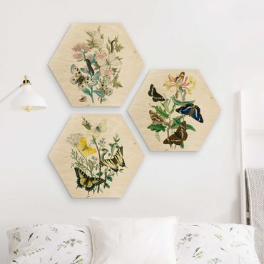 Hexagon Bild Holz 3-teilig - Britische Schmetterlinge Set I