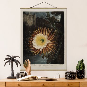 Stoffbild mit Posterleisten - Botanik Vintage Illustration Kaktusblüte - Hochformat 3:4