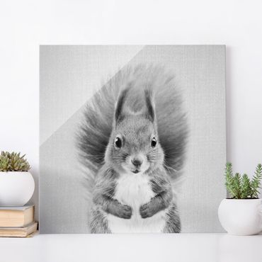 Glasbild - Eichhörnchen Elisabeth Schwarz Weiß - Quadrat