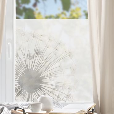 Fensterfolie - Sichtschutz - Ein Hauch Pusteblume - Fensterbilder