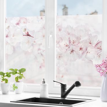 Fensterfolie - Sichtschutz - Ein Kirschblütenhauch - Fensterbilder