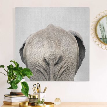 Leinwandbild - Elefant von hinten - Quadrat 1:1