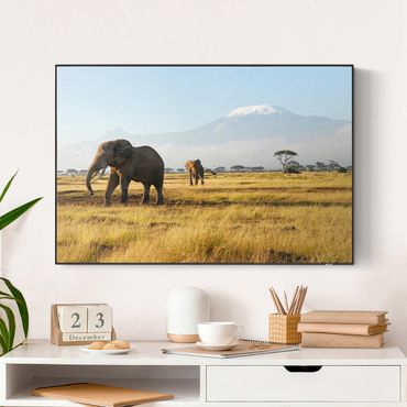 Akustik-Wechselbild - Elefanten vor dem Kilimanjaro in Kenya
