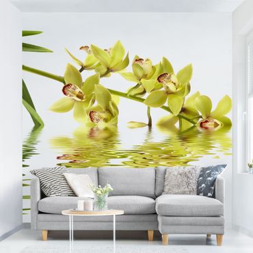 Fototapete - Elegant Orchid Waters