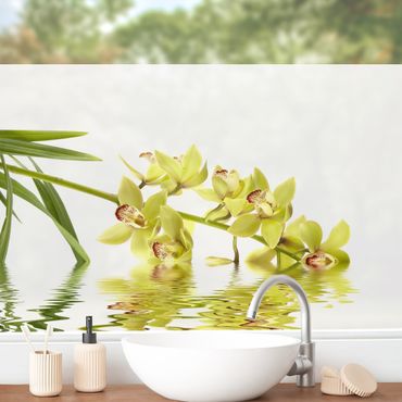 Fensterfolie - Sichtschutz - Elegant Orchid Waters - Fensterbilder