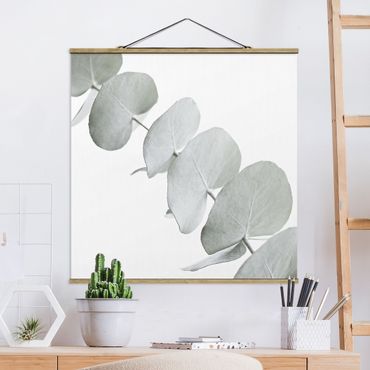 Stoffbild mit Posterleisten - Eukalyptuszweig im Weißen Licht - Quadrat 1:1