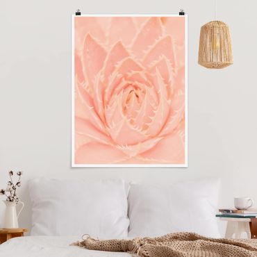 Poster - Rosa Blütenzauber Agave - Hochformat 3:4