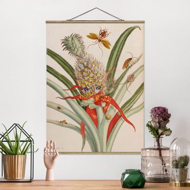 Stoffbild mit Posterleisten - Anna Maria Sibylla Merian - Ananas mit Insekten - Hochformat 3:4