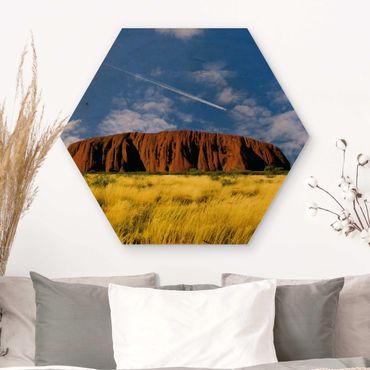 Hexagon Bild Holz - Uluru