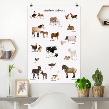 Poster - Farm Animals - Hochformat 3:2