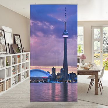 Raumteiler - Fascinating Toronto 250x120cm
