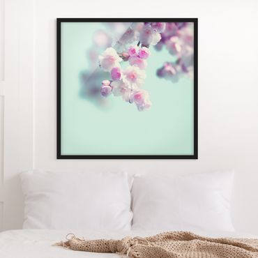 Bild mit Rahmen - Farbenfrohe Kirschblüten - Quadrat