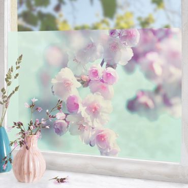 Fensterfolie - Sichtschutz - Farbenfrohe Kirschblüten - Fensterbilder