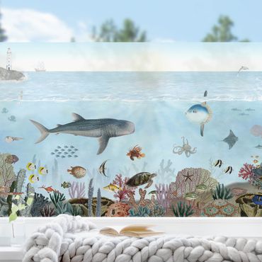 Fensterfolie - Sichtschutz - Faszinierende Kreaturen am Korallenriff - Fensterbilder