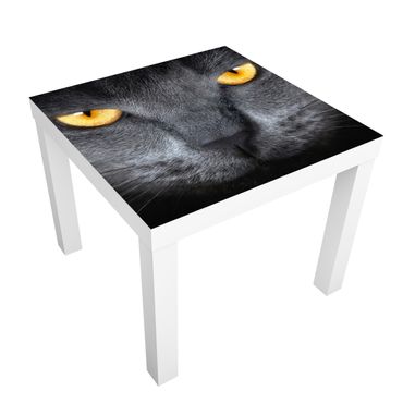 Möbelfolie für IKEA Lack - Klebefolie Cats Gaze