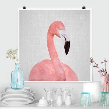 Poster - Flamingo Fabian - Quadrat 1:1