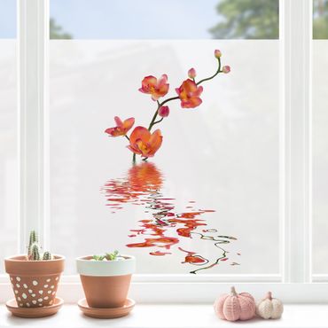 Fensterfolie - Sichtschutz - Flamy Orchid Waters - Fensterbilder