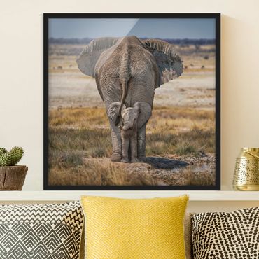 Bild mit Rahmen - Frecher Elefant