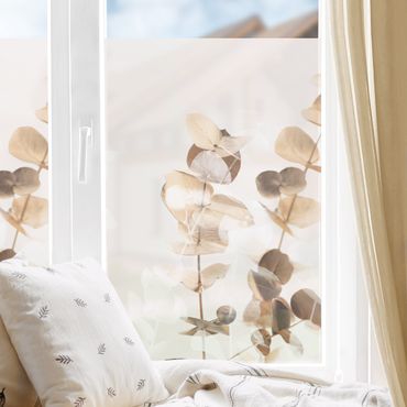 Fensterfolie - Sichtschutz - Goldene Eukalyptuszweige mit Weiß II - Fensterbilder