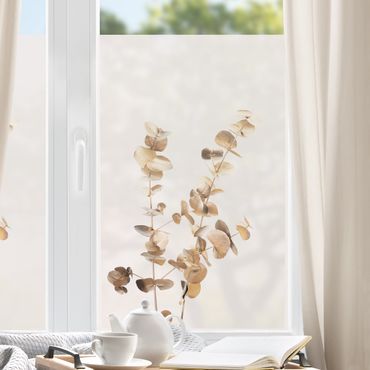 Fensterfolie - Sichtschutz - Goldene Eukalyptuszweige - Fensterbilder