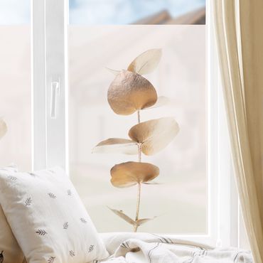 Fensterfolie - Sichtschutz - Goldener Eukalyptuszweig - Fensterbilder