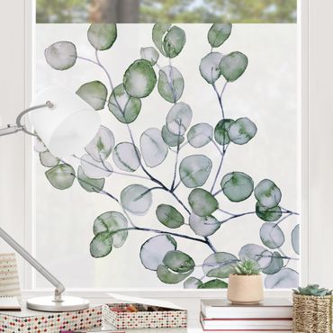 Fensterfolie - Sichtschutz - Grünes Aquarell Eukalyptuszweig - Fensterbilder