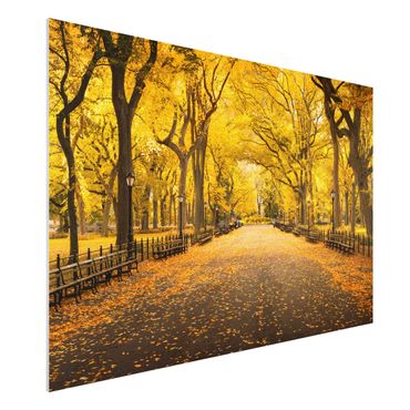 Forex Fine Art Print - Herbst im Central Park - Querformat 3:2