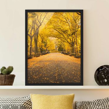 Bild mit Rahmen - Herbst im Central Park - Hochformat