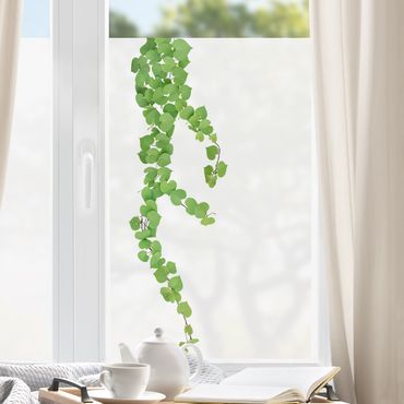 Fensterfolie - Sichtschutz - Herzförmige Blätter Ranke - Fensterbilder